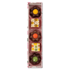 Spring box of 5 pralines 75g 5407008478322 The Belgian Chocolate Makers