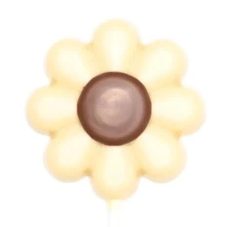 White chocolate lollipop flower - The Belgian Chocolate Makers
