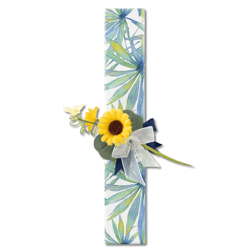 Tropical sea pralines box (mixed) 105g 5407008479718 The Belgian Chocolate Makers