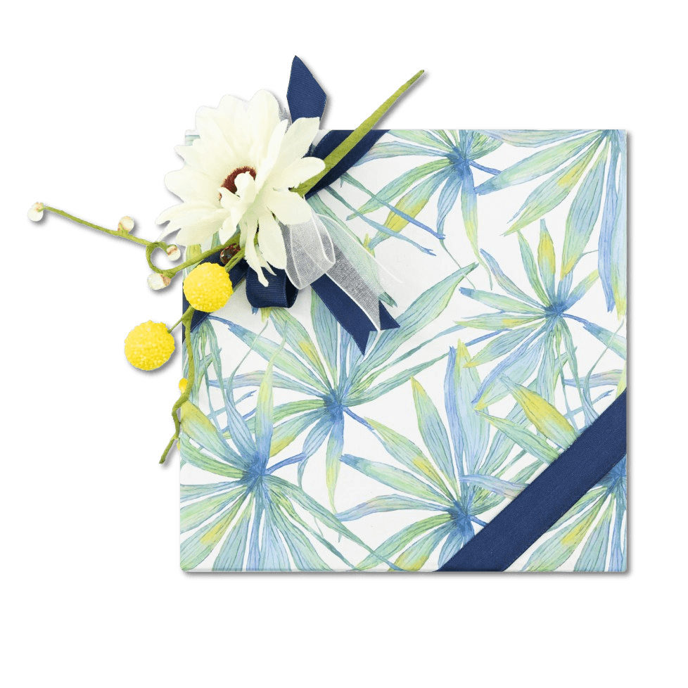 Tropical sea pralines box (mixed) 240g 5407008479749 The Belgian Chocolate Makers