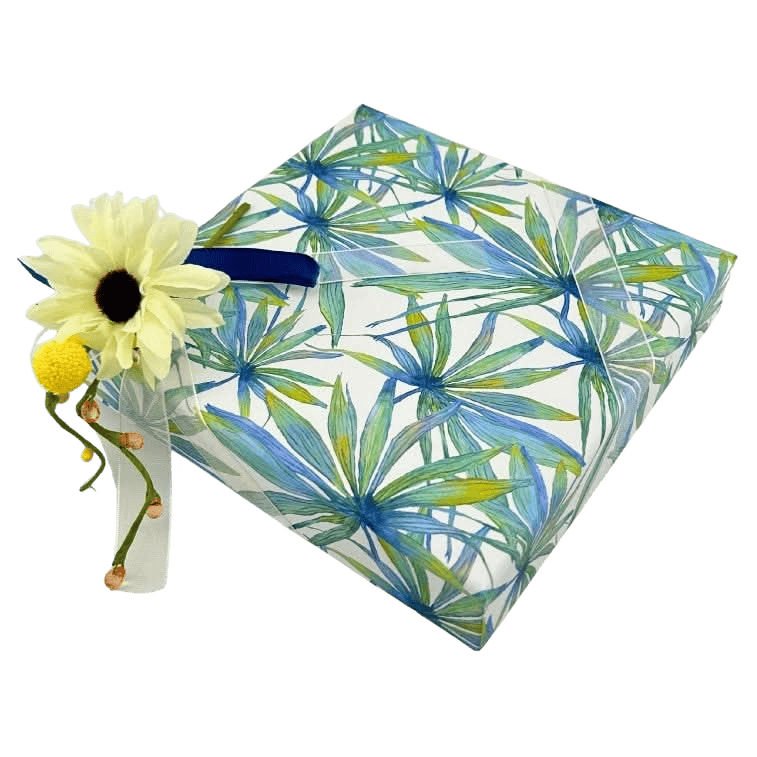 Tropical sea pralines box (mixed) 375 Grs 5407008479756 The Belgian Chocolate Makers