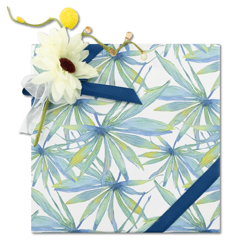 Tropical sea pralines box (mixed) 375g 5407008479756 The Belgian Chocolate Makers