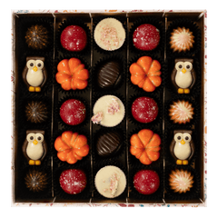 Warm shadow pralines 375g 5407008478476 The Belgian Chocolate Makers